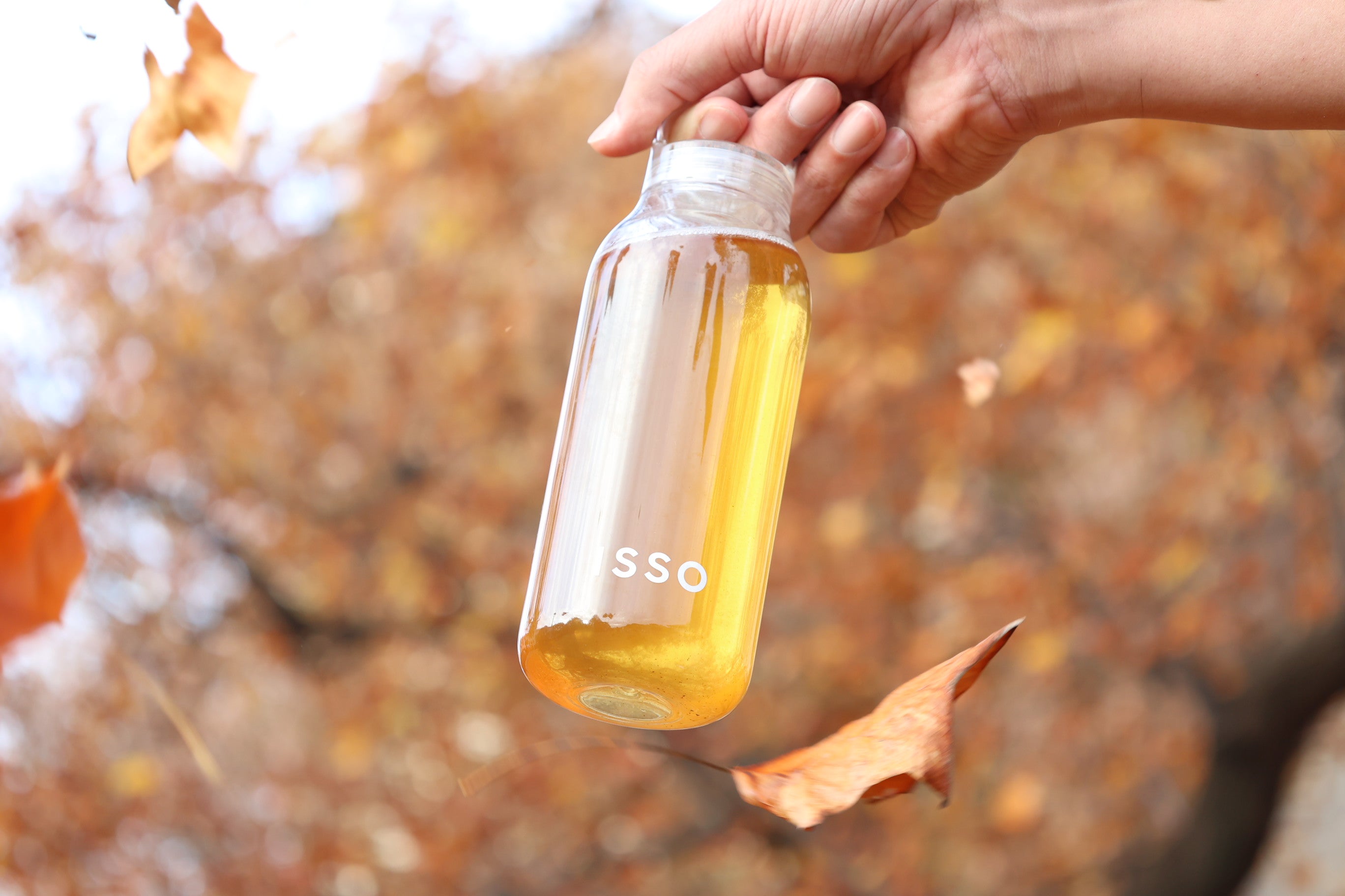 秋の色と、ISSOほうじ棒茶の香りと。